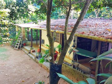 Finca Venta en Minca, 1 hectárea con Riachuelo, Sobre la Vía - Santa Marta