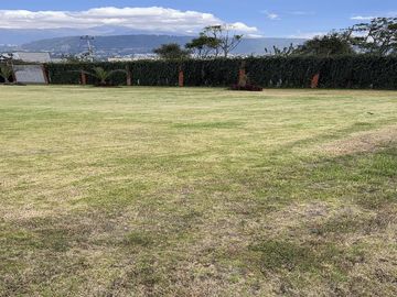TERRENO COMERCIAL, Cuendina, con 200 metros de frente a la E-35, área 31783m2