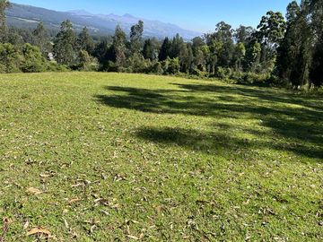 TERRENO COMERCIAL, Cuendina, con 200 metros de frente a la E-35, área 31783m2
