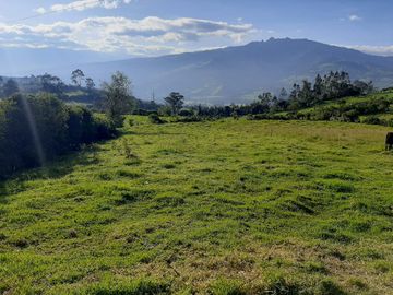 TERRENO COMERCIAL, Cuendina, con 200 metros de frente a la E-35, área 31783m2