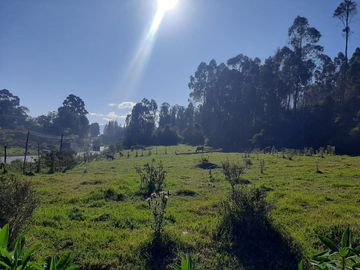 TERRENO COMERCIAL, Cuendina, con 200 metros de frente a la E-35, área 31783m2