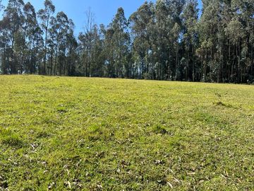 TERRENO COMERCIAL, Cuendina, con 200 metros de frente a la E-35, área 31783m2