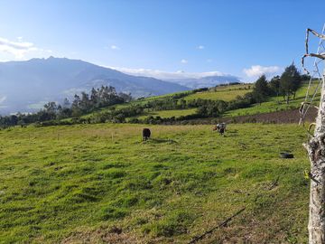 TERRENO COMERCIAL, Cuendina, con 200 metros de frente a la E-35, área 31783m2
