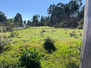 TERRENO COMERCIAL, Cuendina, con 200 metros de frente a la E-35, área 31783m2