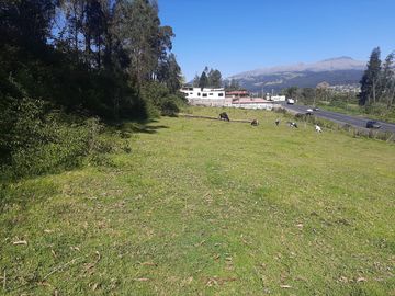 TERRENO COMERCIAL, Cuendina, con 200 metros de frente a la E-35, área 31783m2