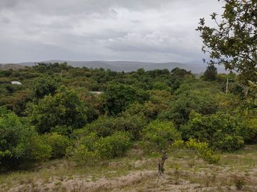 Vendo casa de 200M2 con terreno de 6.400M2 en Guayllabamba