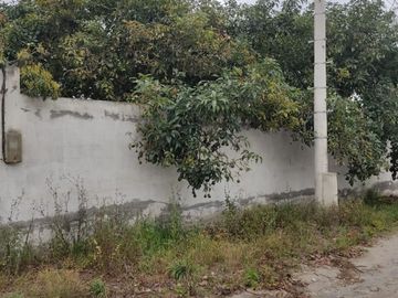 Vendo casa de 200M2 con terreno de 6.400M2 en Guayllabamba