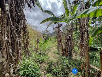 En venta terreno grande sector Cucanamá cerca del pueblo de Vilcabamba