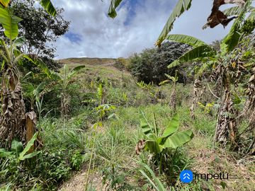 En venta terreno grande sector Cucanamá cerca del pueblo de Vilcabamba