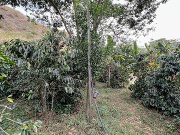 En venta terreno grande sector Cucanamá cerca del pueblo de Vilcabamba