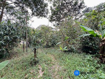 En venta terreno grande sector Cucanamá cerca del pueblo de Vilcabamba