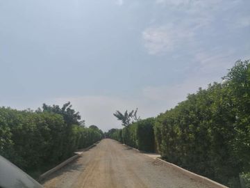 Se Vende Amplia Casa De Campo En Cañete Imperial