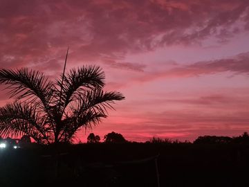 Se Vende Amplia Casa De Campo En Cañete Imperial