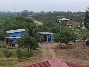 F24 - Vendo Hacienda agrícola en Guayas - 50 hectáreas