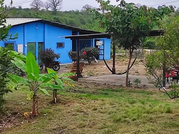 F24 - Vendo Hacienda agrícola en Guayas - 50 hectáreas