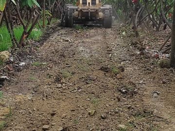 F24 - Vendo Hacienda agrícola en Guayas - 50 hectáreas