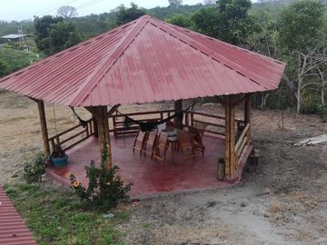 F24 - Vendo Hacienda agrícola en Guayas - 50 hectáreas