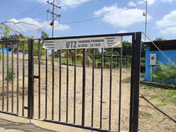F24 - Vendo Hacienda agrícola en Guayas - 50 hectáreas