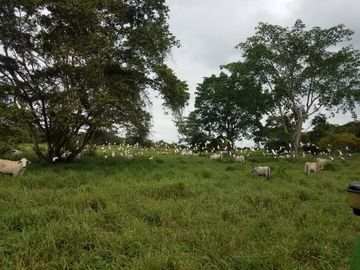 Las Peñas - Esmeraldas - Hermosa Hacienda de Venta