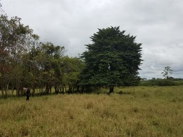 Las Peñas - Esmeraldas - Hermosa Hacienda de Venta