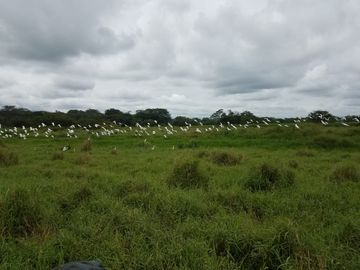 Las Peñas - Esmeraldas - Hermosa Hacienda de Venta