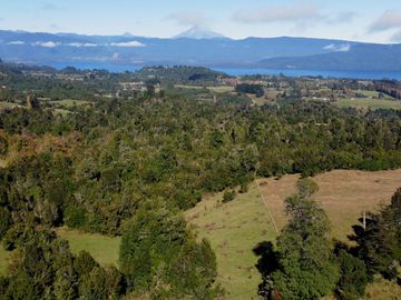 Campo en venta en Lago Rupanco 6 hectáreas, Puyehue, Región de Los Lagos