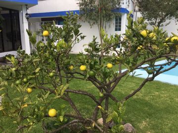 Venta de Casa en Cumbayá, Reservorio de cumbayá
