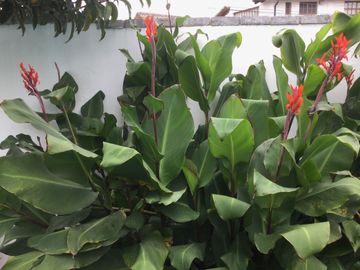 Venta de Casa en Cumbayá, Reservorio de cumbayá
