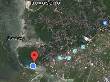 COMMERCIAL LOT FOR SALE IN CORDOVA, CEBU - 1 HECTARE. FACING THE SEA.