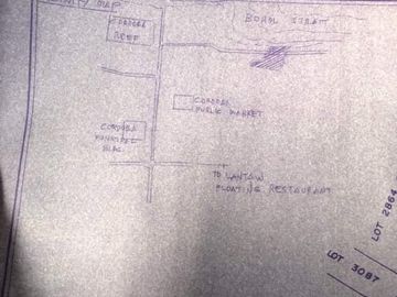COMMERCIAL LOT FOR SALE IN CORDOVA, CEBU - 1 HECTARE. FACING THE SEA.