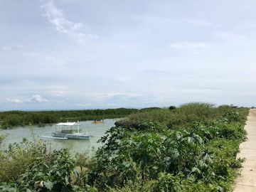 COMMERCIAL LOT FOR SALE IN CORDOVA, CEBU - 1 HECTARE. FACING THE SEA.