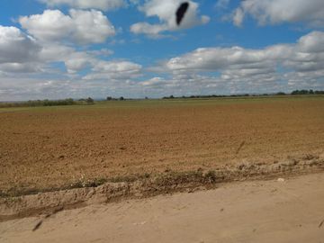 OPORTUNIDAD RANCHO AGRICOLA CON MACROTUNELES CON POZO, TIERRAS DE PRIMERA EN DOLORES HIDALGO, CON ACCESO CERCA CARRETERA Y A UN SUPER PRECIO