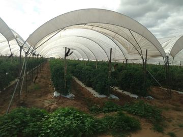 OPORTUNIDAD RANCHO AGRICOLA CON MACROTUNELES CON POZO, TIERRAS DE PRIMERA EN DOLORES HIDALGO, CON ACCESO CERCA CARRETERA Y A UN SUPER PRECIO