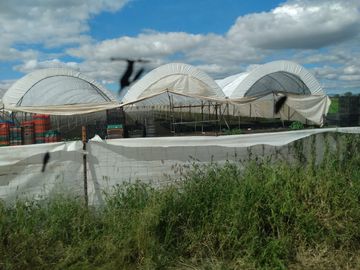 OPORTUNIDAD RANCHO AGRICOLA CON MACROTUNELES CON POZO, TIERRAS DE PRIMERA EN DOLORES HIDALGO, CON ACCESO CERCA CARRETERA Y A UN SUPER PRECIO