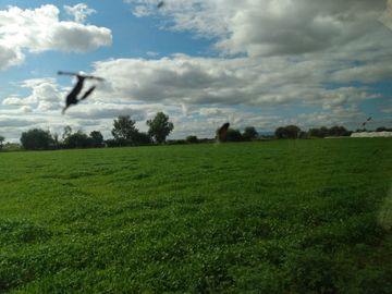 OPORTUNIDAD RANCHO AGRICOLA CON MACROTUNELES CON POZO, TIERRAS DE PRIMERA EN DOLORES HIDALGO, CON ACCESO CERCA CARRETERA Y A UN SUPER PRECIO