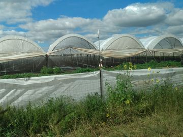 OPORTUNIDAD RANCHO AGRICOLA CON MACROTUNELES CON POZO, TIERRAS DE PRIMERA EN DOLORES HIDALGO, CON ACCESO CERCA CARRETERA Y A UN SUPER PRECIO