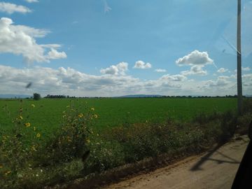 OPORTUNIDAD RANCHO AGRICOLA CON MACROTUNELES CON POZO, TIERRAS DE PRIMERA EN DOLORES HIDALGO, CON ACCESO CERCA CARRETERA Y A UN SUPER PRECIO