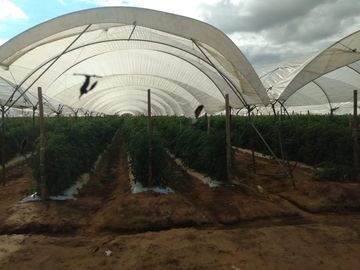 OPORTUNIDAD RANCHO AGRICOLA CON MACROTUNELES CON POZO, TIERRAS DE PRIMERA EN DOLORES HIDALGO, CON ACCESO CERCA CARRETERA Y A UN SUPER PRECIO