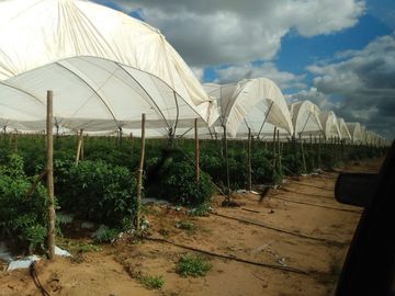 OPORTUNIDAD RANCHO AGRICOLA CON MACROTUNELES CON POZO, TIERRAS DE PRIMERA EN DOLORES HIDALGO, CON ACCESO CERCA CARRETERA Y A UN SUPER PRECIO