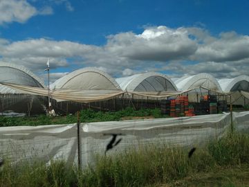 OPORTUNIDAD RANCHO AGRICOLA CON MACROTUNELES CON POZO, TIERRAS DE PRIMERA EN DOLORES HIDALGO, CON ACCESO CERCA CARRETERA Y A UN SUPER PRECIO