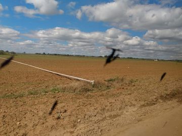 OPORTUNIDAD RANCHO AGRICOLA CON MACROTUNELES CON POZO, TIERRAS DE PRIMERA EN DOLORES HIDALGO, CON ACCESO CERCA CARRETERA Y A UN SUPER PRECIO