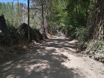 VENDE HERMOSAS PARCELAS, 5.000 M2, PLANAS, SECTOR ABRANTES, CAMINO CHACALLURA, PAINE, REGION METROPOLITANA