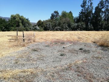 VENDE HERMOSAS PARCELAS, 5.000 M2, PLANAS, SECTOR ABRANTES, CAMINO CHACALLURA, PAINE, REGION METROPOLITANA