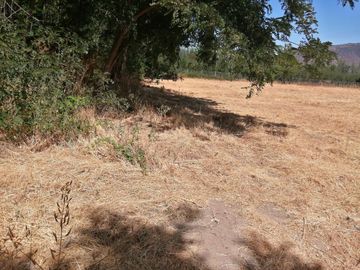 VENDE HERMOSAS PARCELAS, 5.000 M2, PLANAS, SECTOR ABRANTES, CAMINO CHACALLURA, PAINE, REGION METROPOLITANA