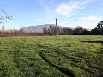 VENDE HERMOSAS PARCELAS, 5.000 M2, PLANAS, SECTOR ABRANTES, CAMINO CHACALLURA, PAINE, REGION METROPOLITANA