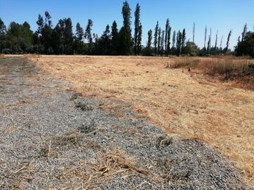 VENDE HERMOSAS PARCELAS, 5.000 M2, PLANAS, SECTOR ABRANTES, CAMINO CHACALLURA, PAINE, REGION METROPOLITANA