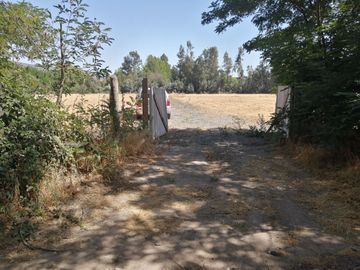VENDE HERMOSAS PARCELAS, 5.000 M2, PLANAS, SECTOR ABRANTES, CAMINO CHACALLURA, PAINE, REGION METROPOLITANA