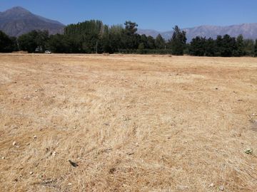 VENDE HERMOSAS PARCELAS, 5.000 M2, PLANAS, SECTOR ABRANTES, CAMINO CHACALLURA, PAINE, REGION METROPOLITANA
