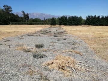 VENDE HERMOSAS PARCELAS, 5.000 M2, PLANAS, SECTOR ABRANTES, CAMINO CHACALLURA, PAINE, REGION METROPOLITANA