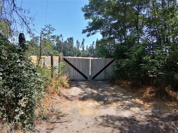 VENDE HERMOSAS PARCELAS, 5.000 M2, PLANAS, SECTOR ABRANTES, CAMINO CHACALLURA, PAINE, REGION METROPOLITANA